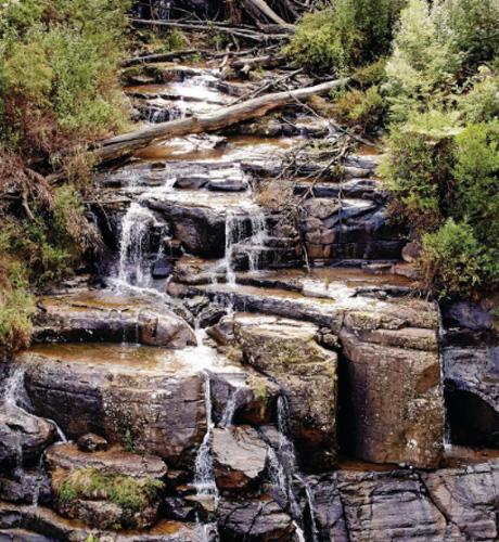 Kinglake National Park